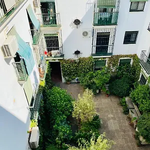https://magic-point-sevilla.es-andalucia.com
